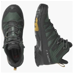 Salomon X Ultra 4 MID GTX Mens Hiking Boot - Green Gables/Black/Cumin -Outdoor Research Store Salomon X Ultra 4 MID GTX Mens Hiking Boot Green Gables Black Cumin Both 290217